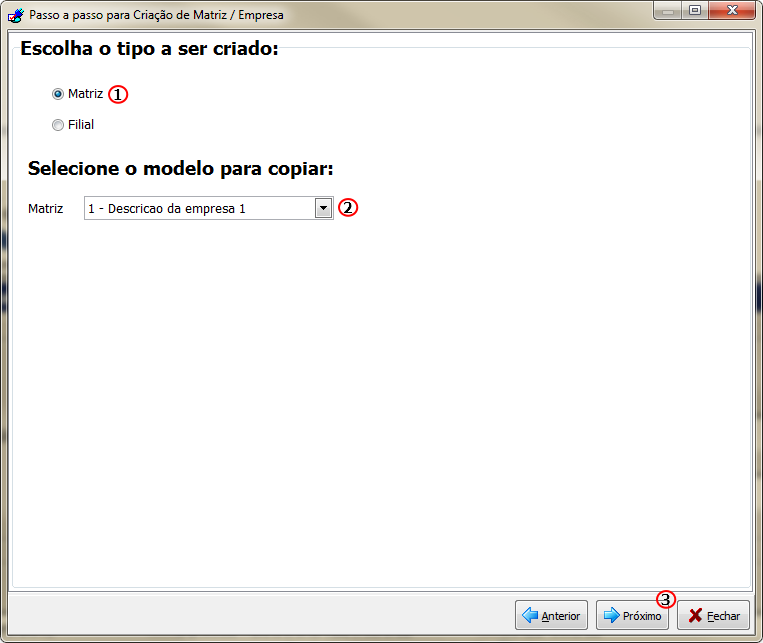 NBS User - Utilitarios - Criar Empresa-Matriz - Form Passo a passo para criacao de matriz-filial - Matriz.png