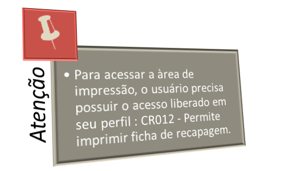 Nbsrecap - ficha - imprimir - tela informativa.png