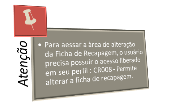 Nbsrecap - ficha - alterar - tela informativa.png