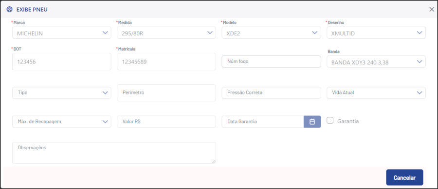 NBS Recap Web - Ficha - Ficha de Recapagem - Fechamento - Guia Pneu - Campo Ações - Botão Visualizar Dados - Form Exibe Pneu.png