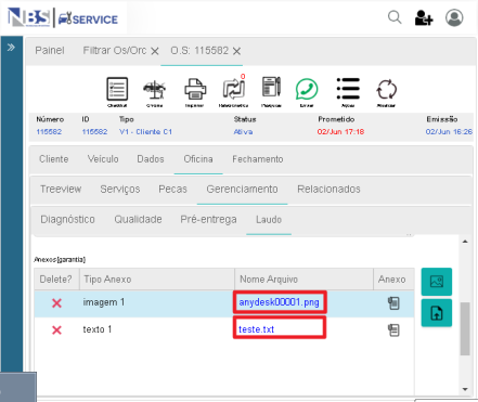 Abrir Anexo(texto e imagem) Laudo