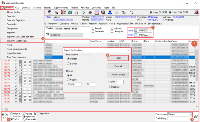 Interface - Imprimir (DataRegis).png