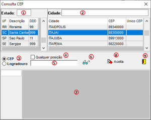 Tela consulta cep.png